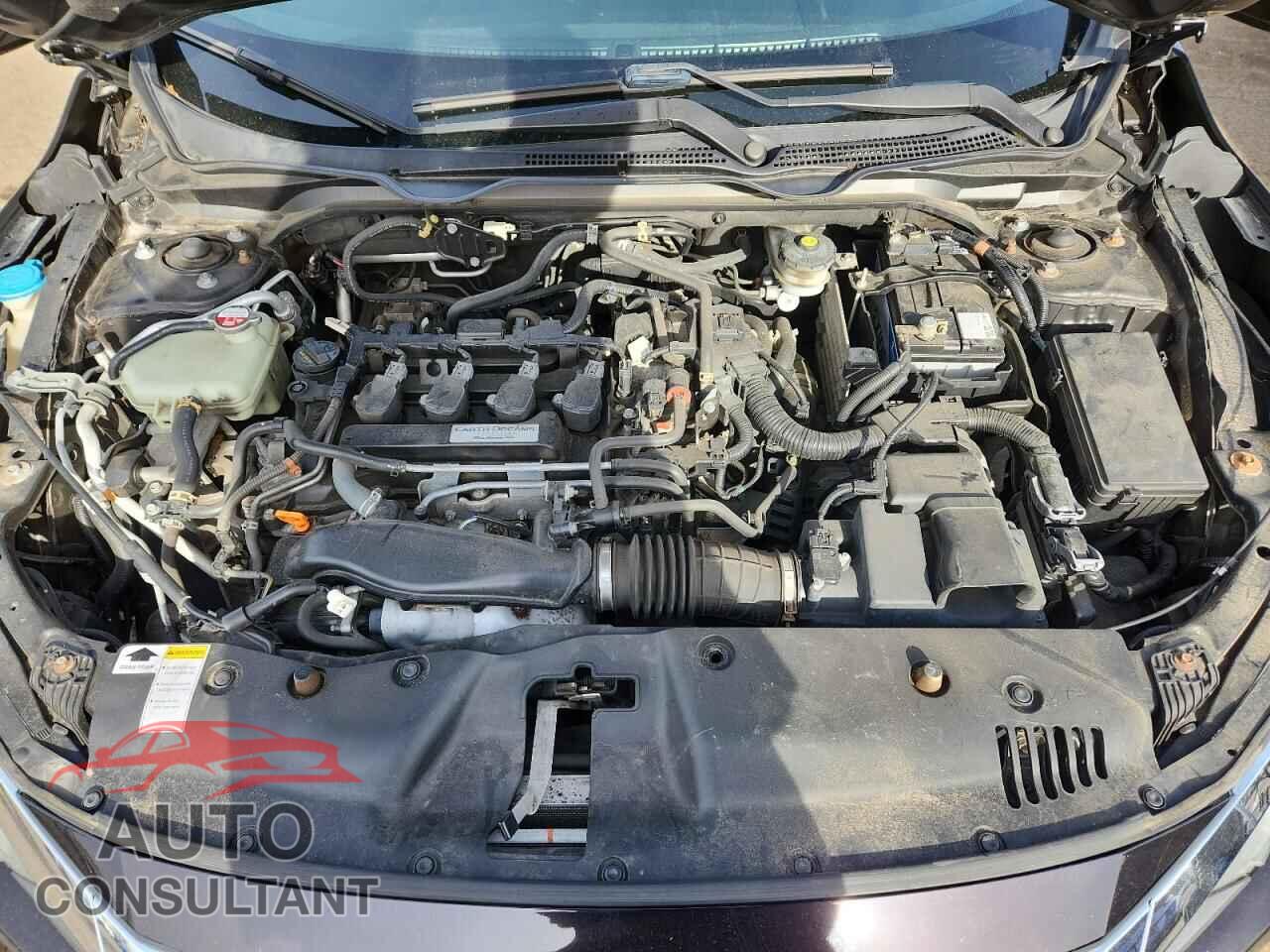 HONDA CIVIC 2016 - 19XFC1F77GE203514