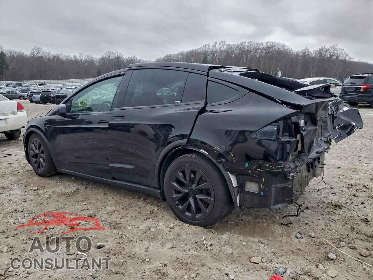 TESLA MODEL X 2024 - 7SAXCDE53RF460689