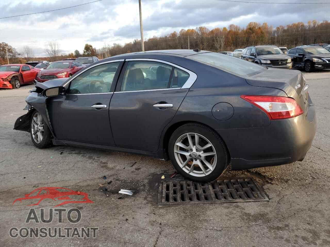 NISSAN MAXIMA 2009 - 1N4AA51E29C849735
