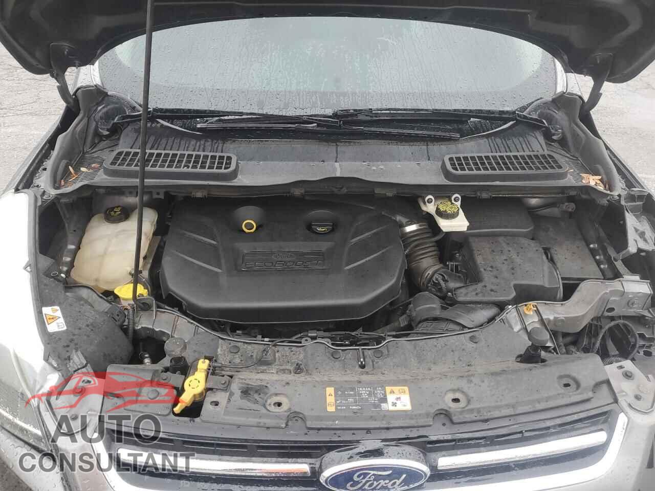 FORD ESCAPE 2014 - 1FMCU9J90EUA68734