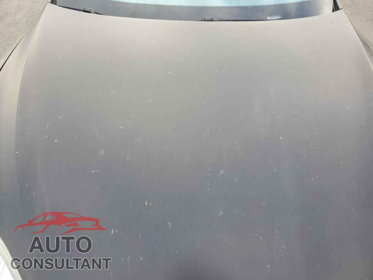 TESLA MODEL S 2013 - 5YJSA1DP5DFP09887