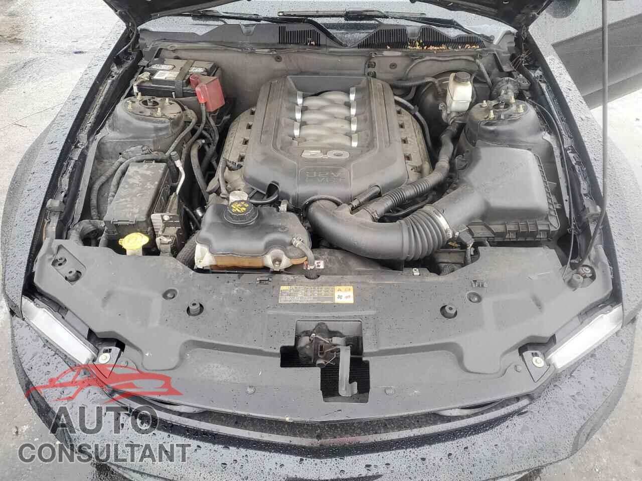 FORD MUSTANG 2012 - 1ZVBP8CF3C5266510
