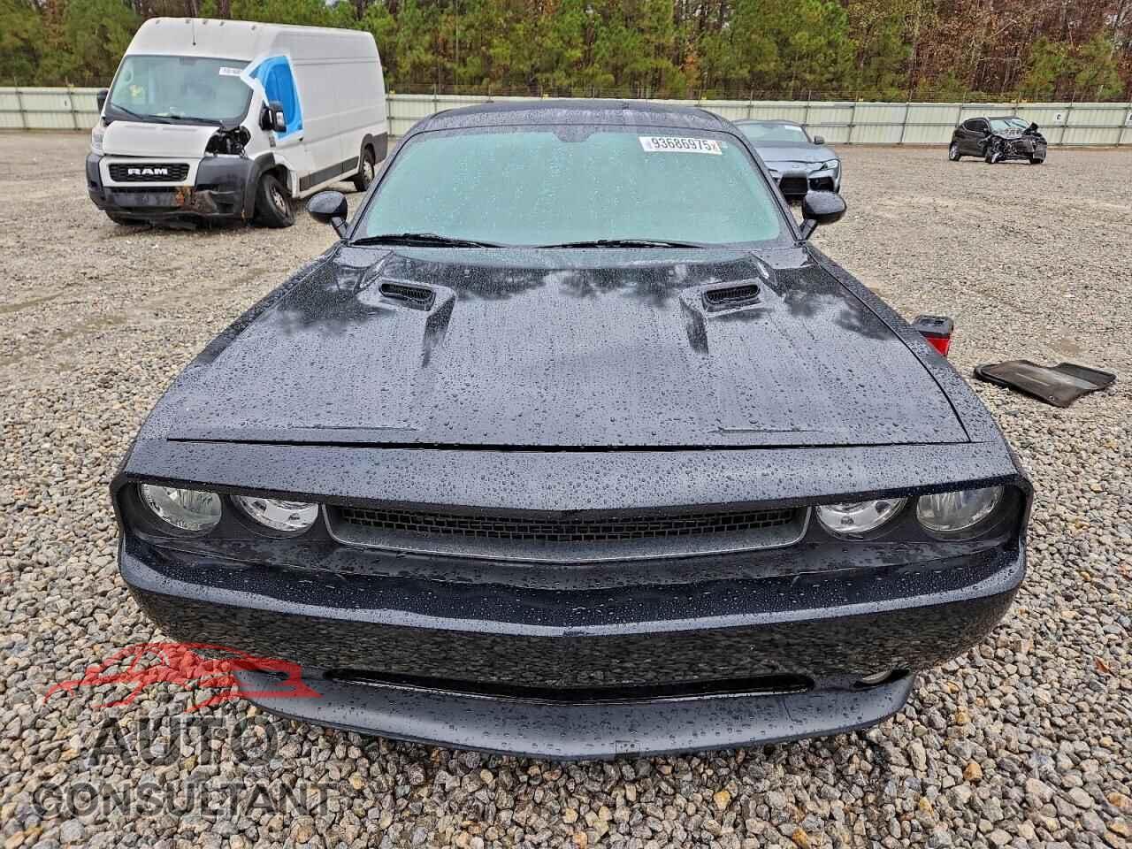 DODGE CHALLENGER 2013 - 2C3CDYBT5DH631257