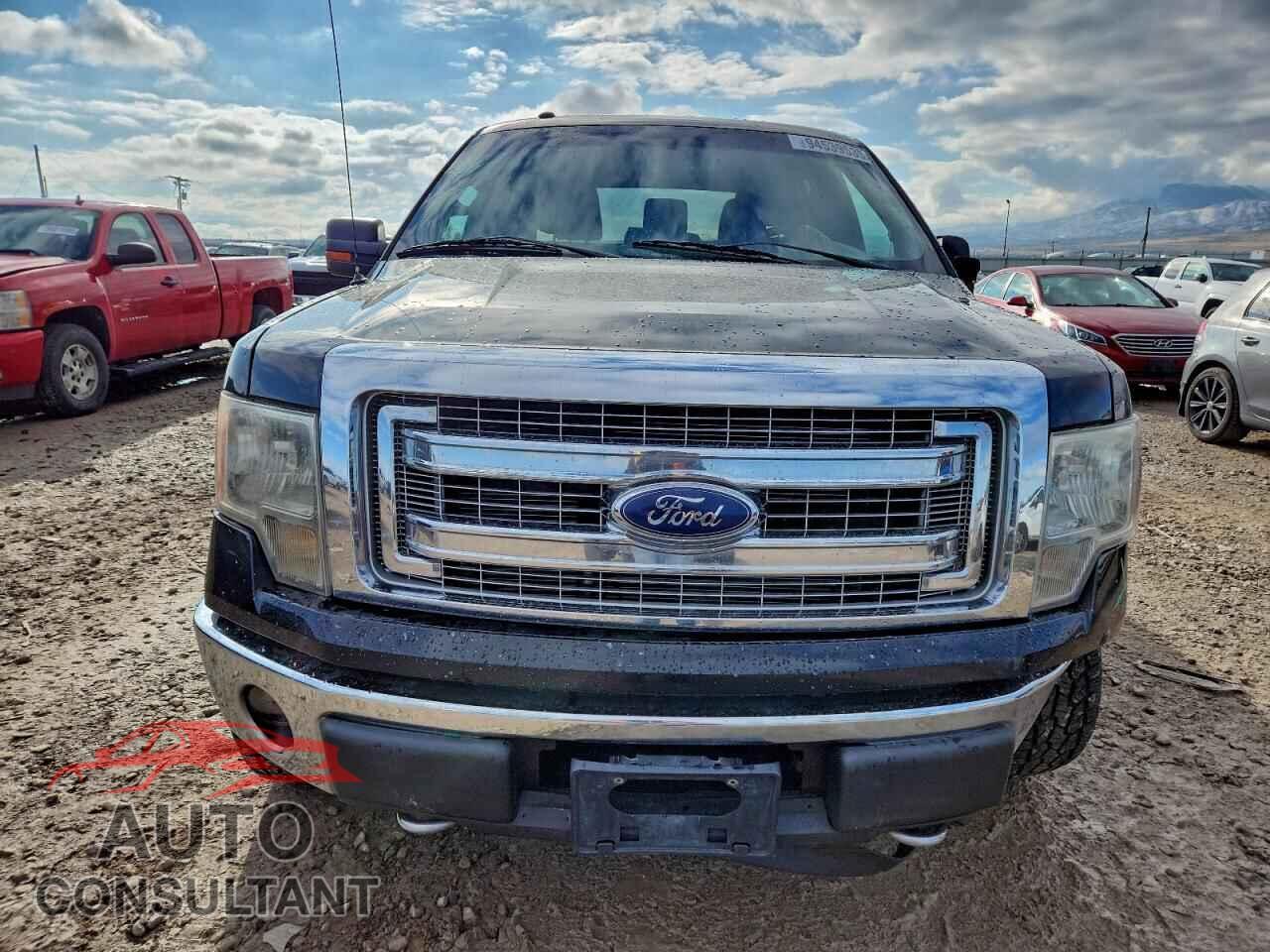 FORD F-150 2013 - 1FTFW1EF2DFD06695