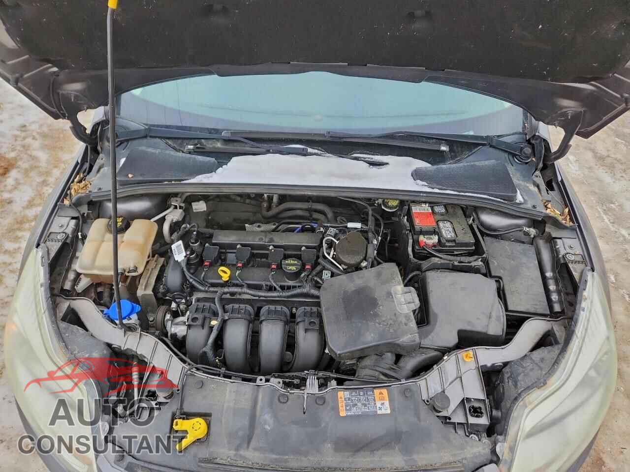FORD FOCUS 2014 - 1FADP3F2XEL313365