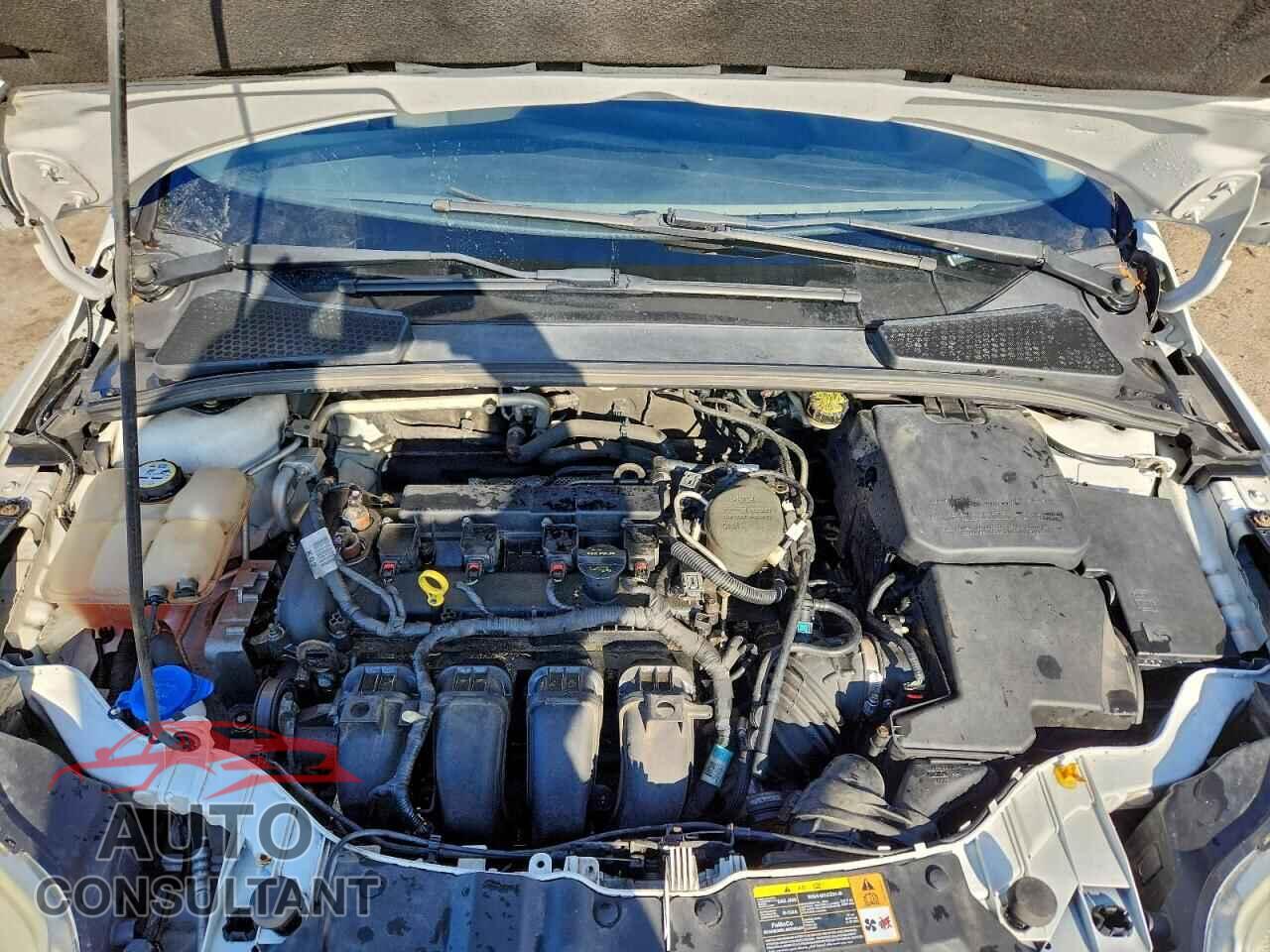 FORD FOCUS 2013 - 1FADP3F21DL282215
