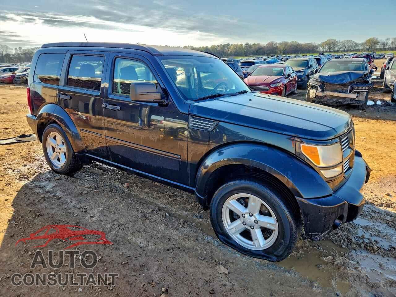 DODGE NITRO 2011 - 1D4PT5GK6BW545004