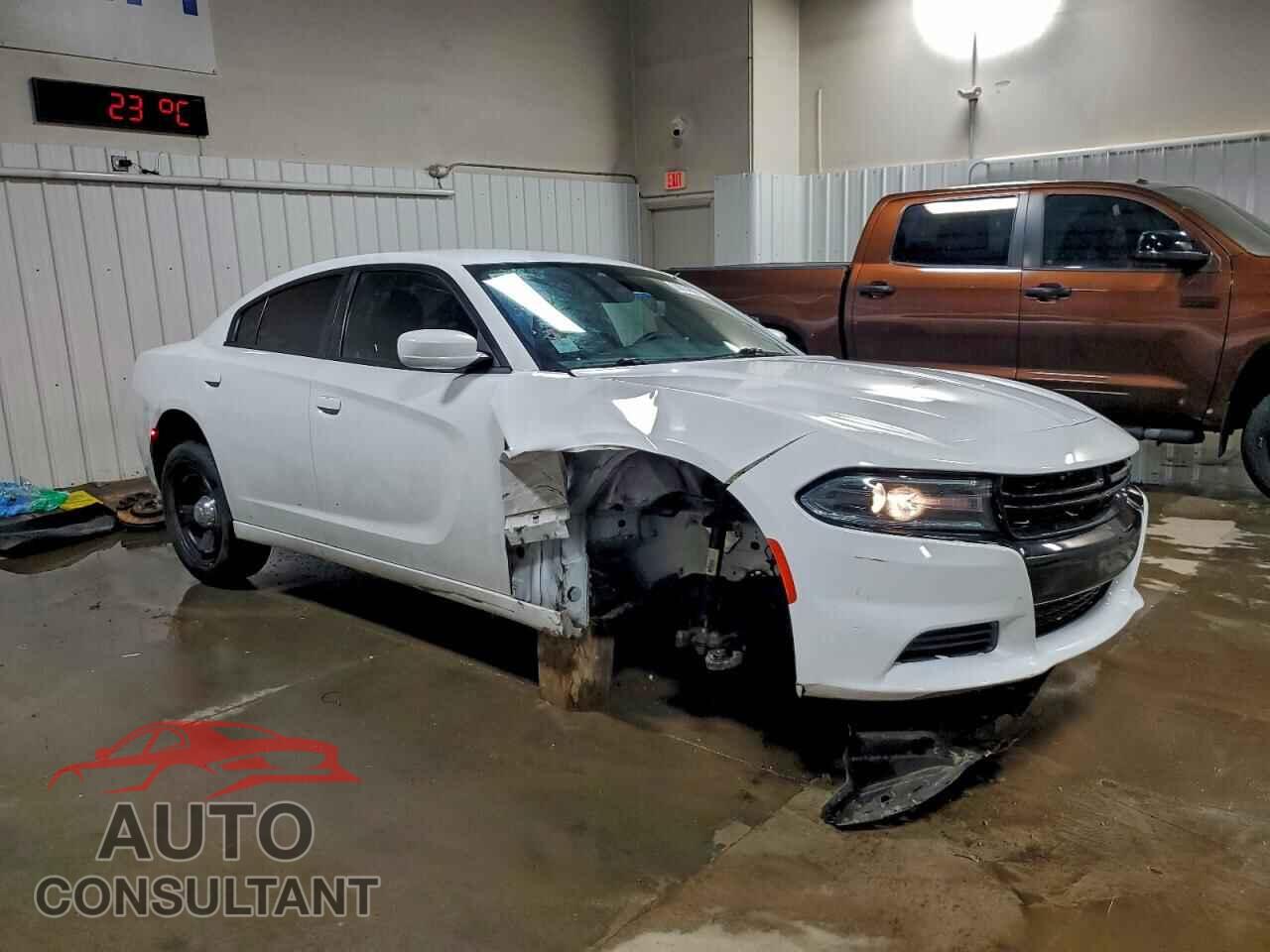 DODGE CHARGER 2019 - 2C3CDXAG8KH563936
