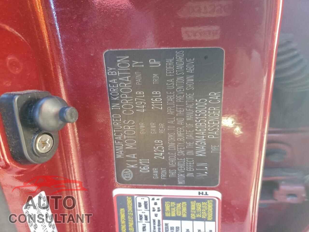 KIA OPTIMA 2011 - KNAGN4A61B5158005