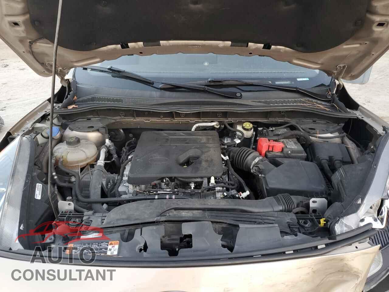 FORD ESCAPE 2020 - 1FMCU9G65LUA84616