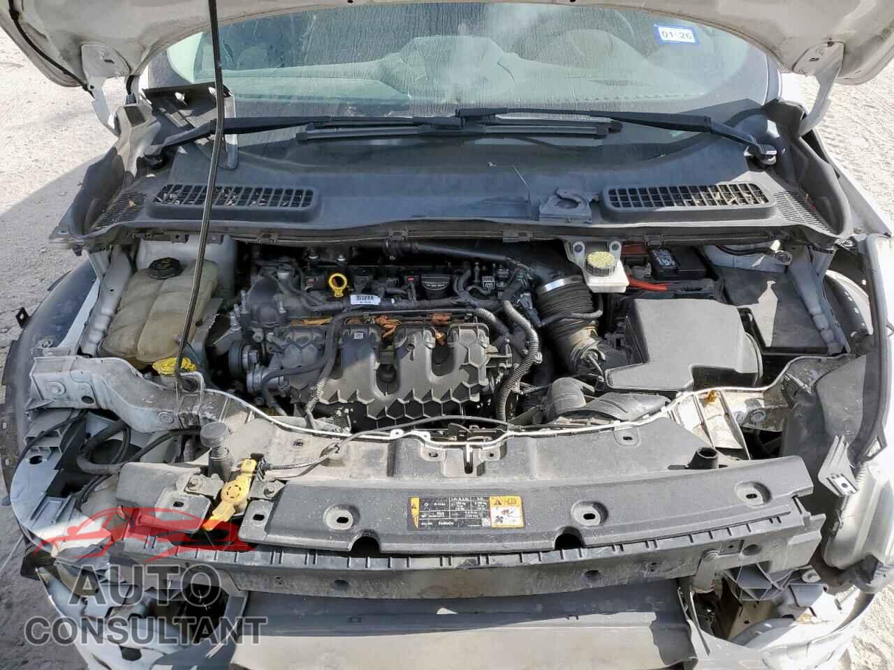 FORD ESCAPE 2016 - 1FMCU0J92GUB60281