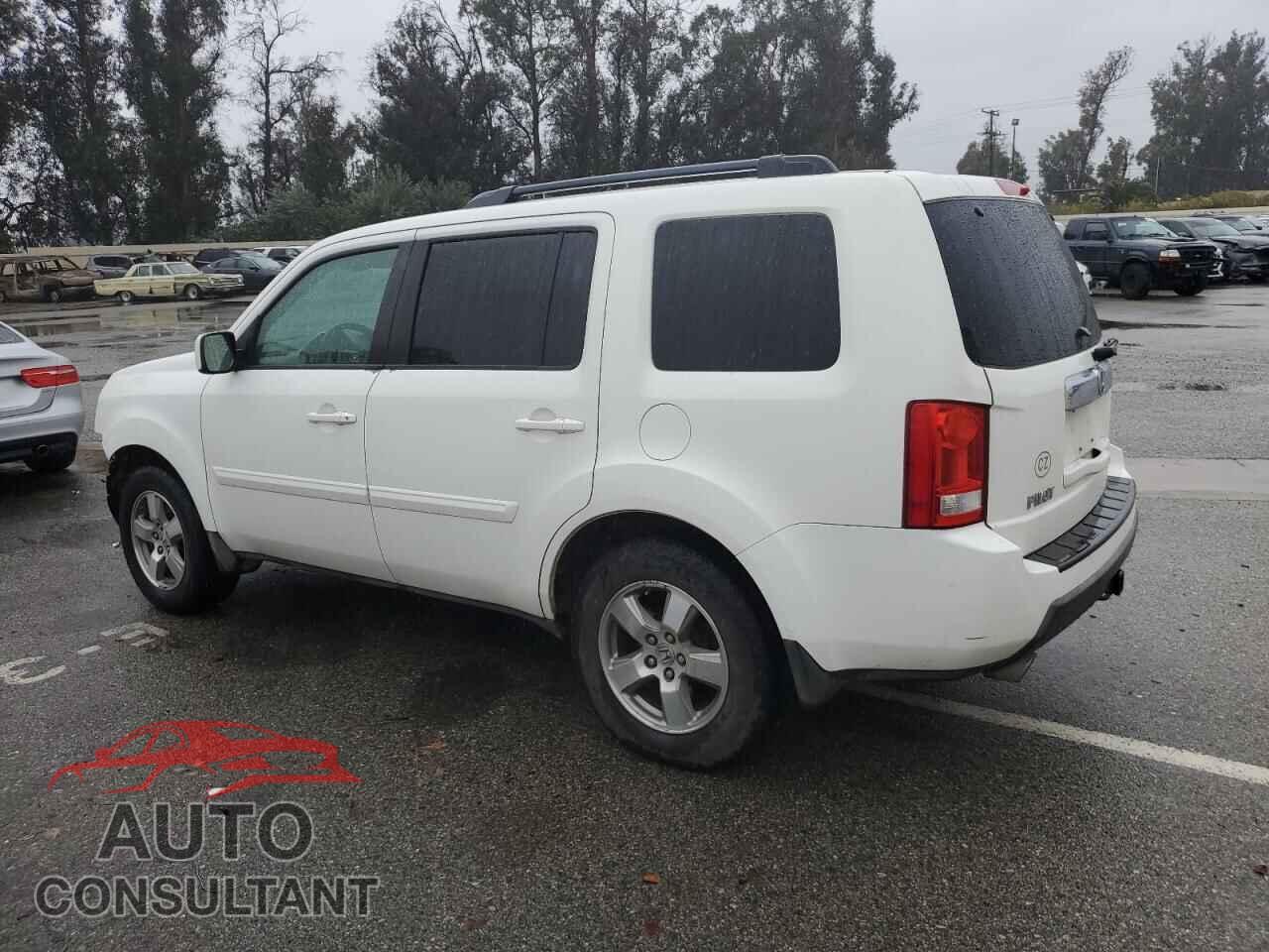 HONDA PILOT 2009 - 5FNYF38559B023033