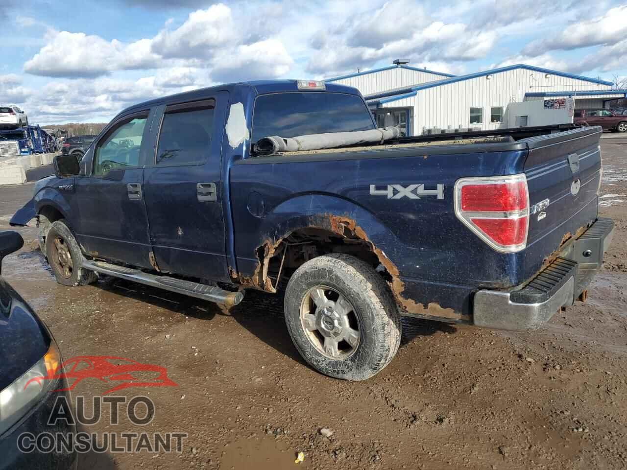FORD F-150 2009 - 1FTRW14839FA10608