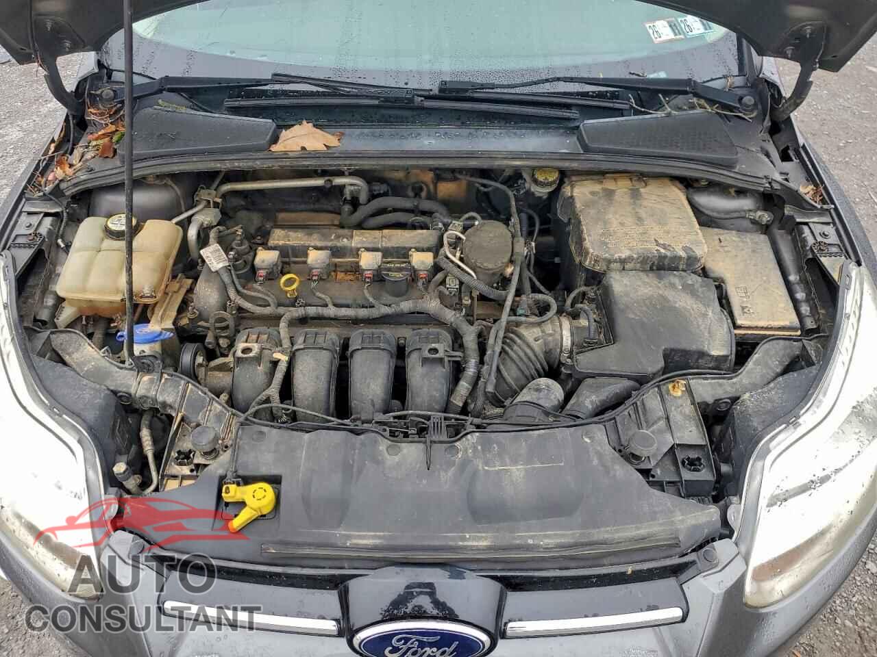 FORD FOCUS 2012 - 1FAHP3F2XCL460476