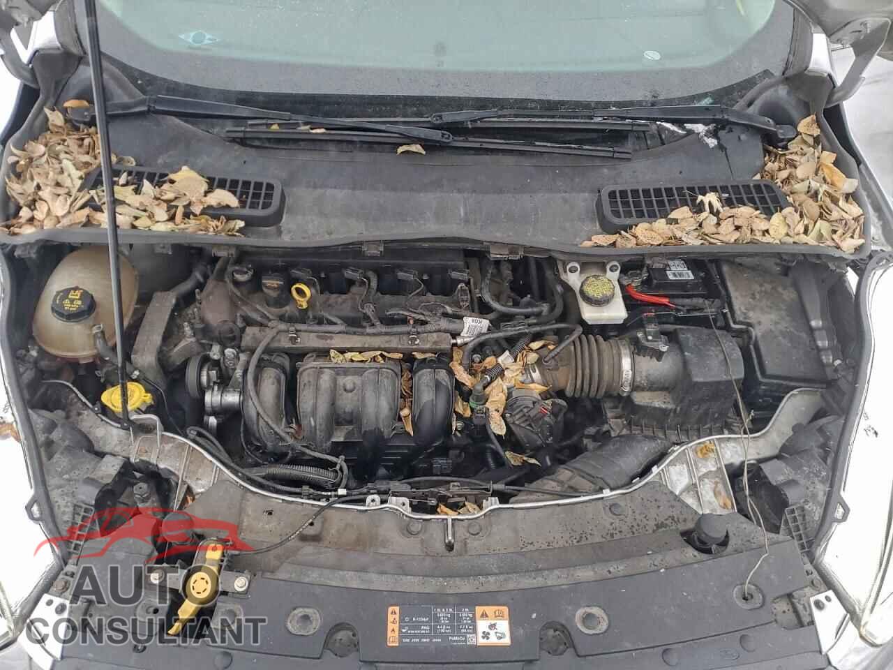FORD ESCAPE 2017 - 1FMCU0F79HUB37752
