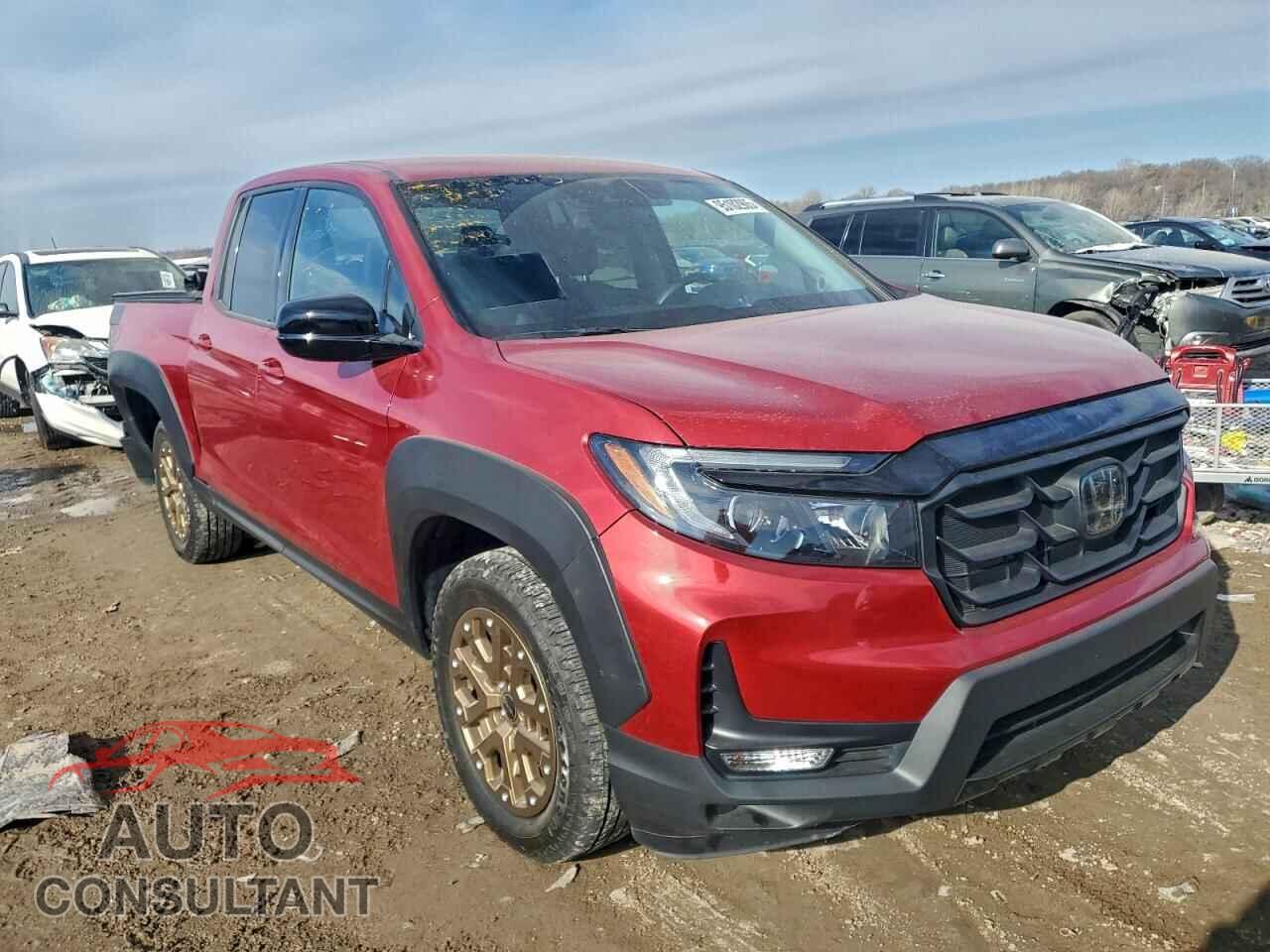 HONDA RIDGELINE 2021 - 5FPYK3F18MB012779
