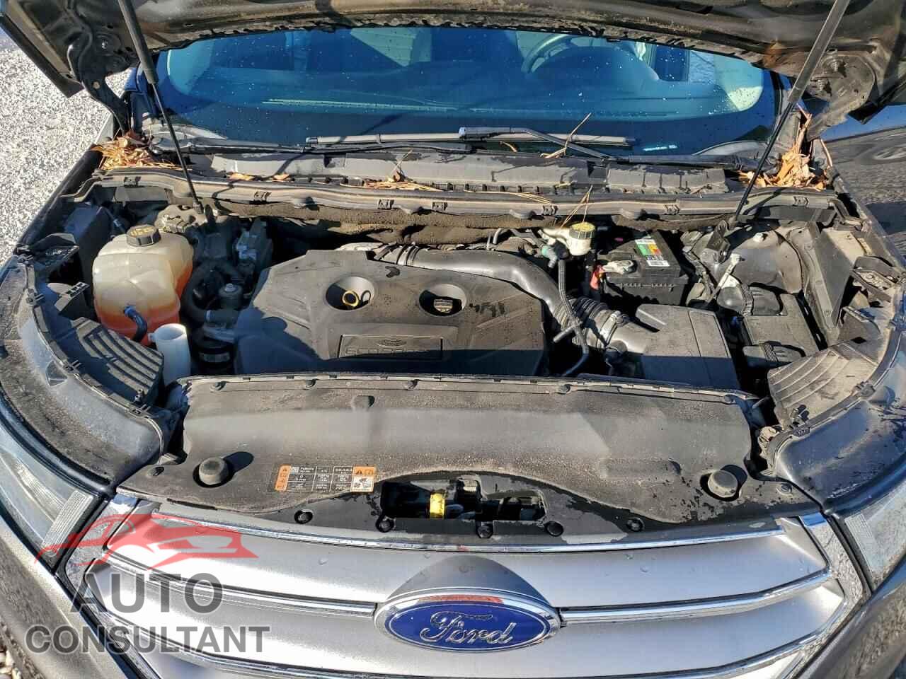 FORD EDGE 2016 - 2FMPK4G99GBC00531