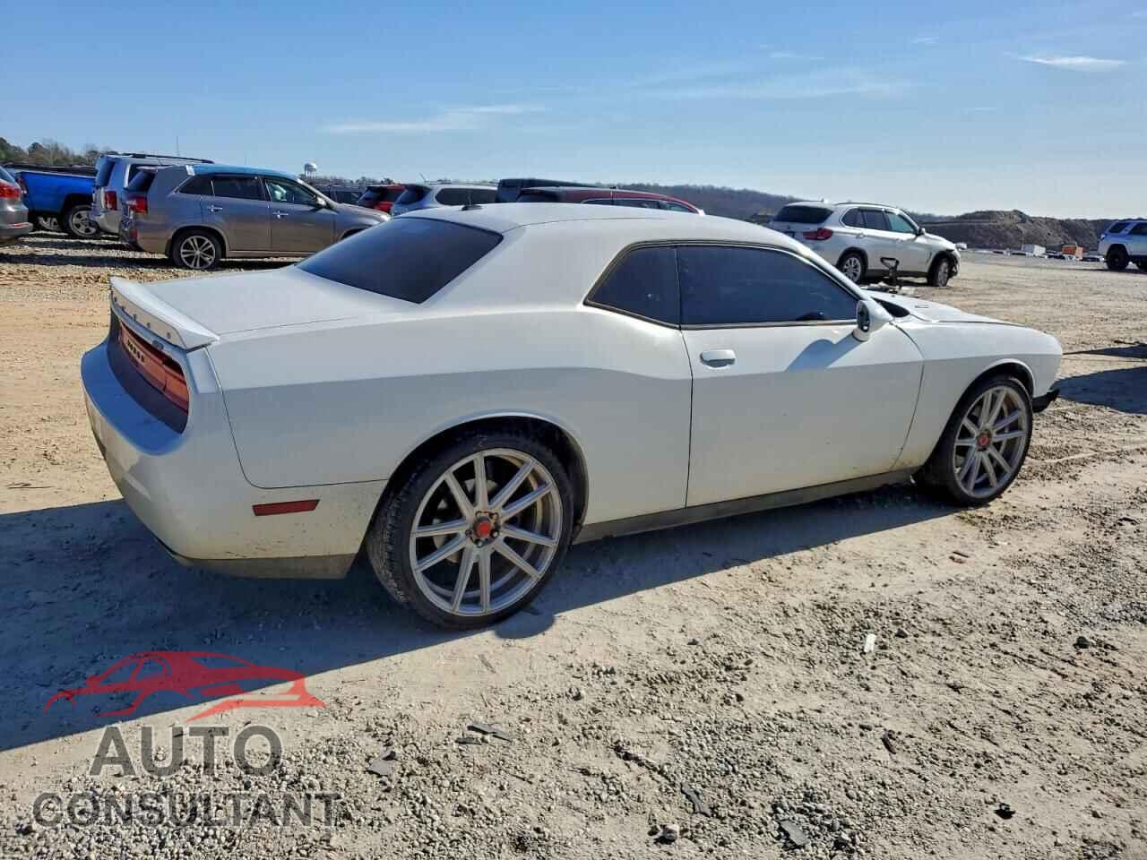 DODGE CHALLENGER 2013 - 2C3CDYBT8DH741817