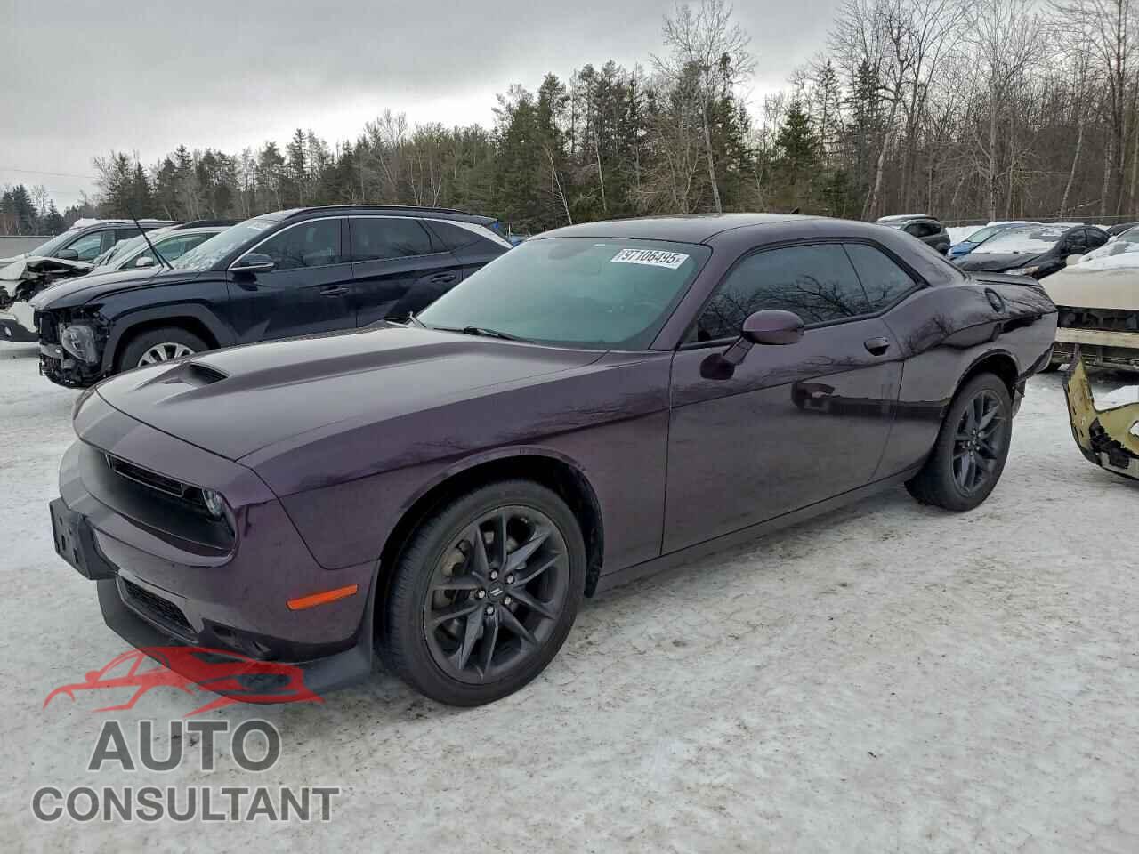 DODGE CHALLENGER 2021 - 2C3CDZKG4MH536181