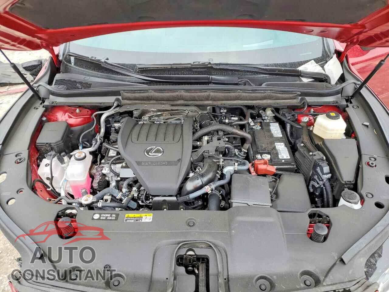 LEXUS RX350 2025 - 2T2BAMCA7SC097574