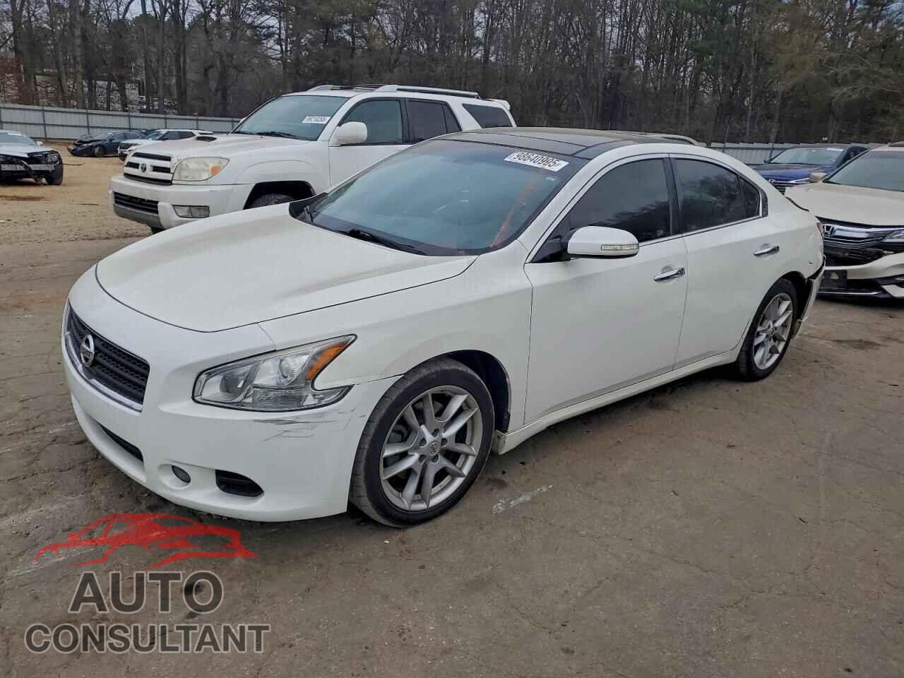 NISSAN MAXIMA 2011 - 1N4AA5AP7BC809626