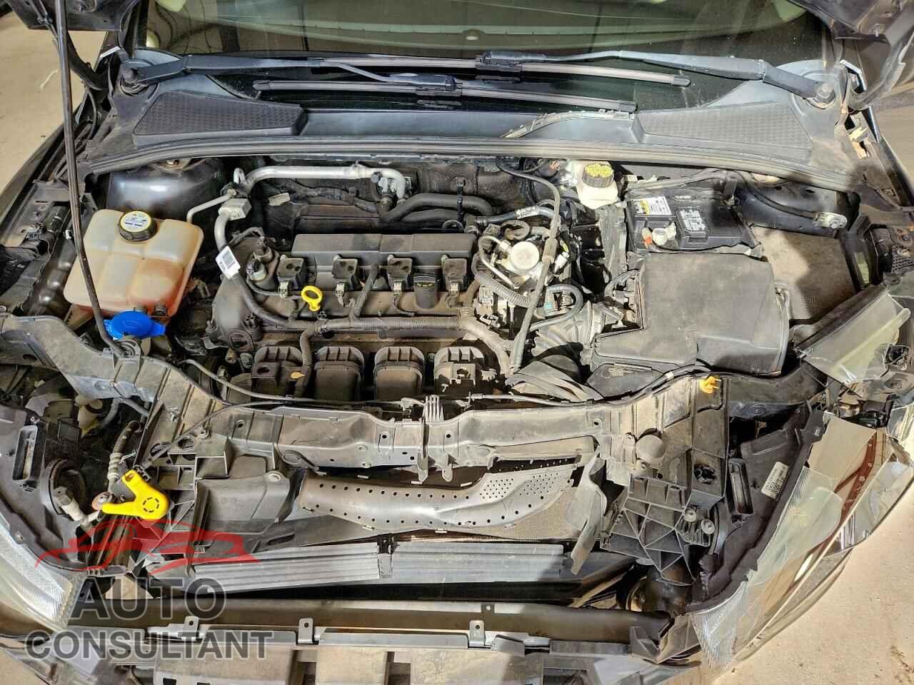 FORD FOCUS 2017 - 1FADP3F28HL269547