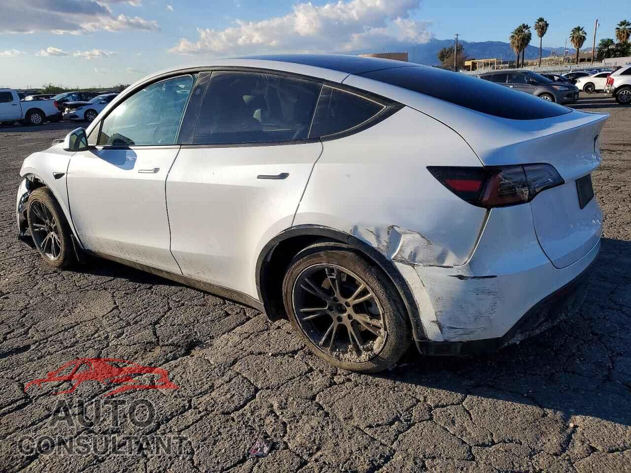 TESLA MODEL Y 2024 - 7SAYGDED2RF113385