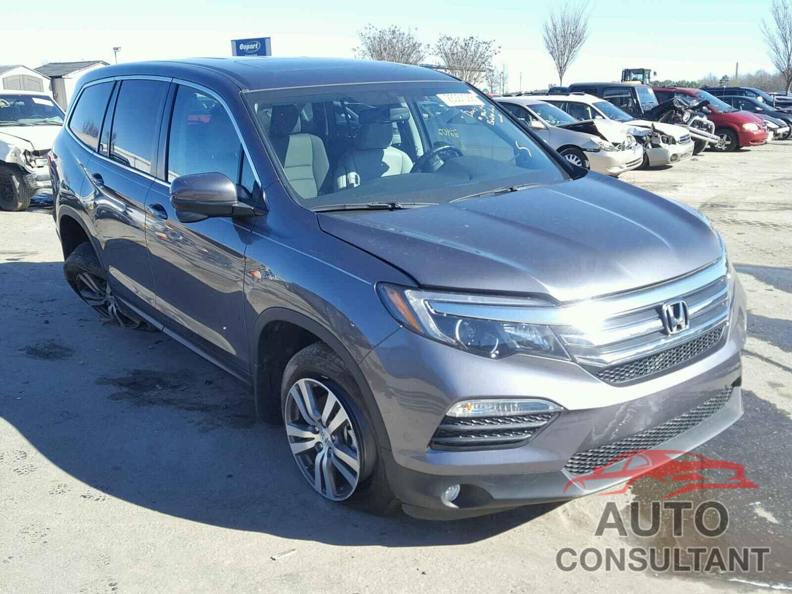 HONDA PILOT 2016 - 5FNYF5H51GB055339