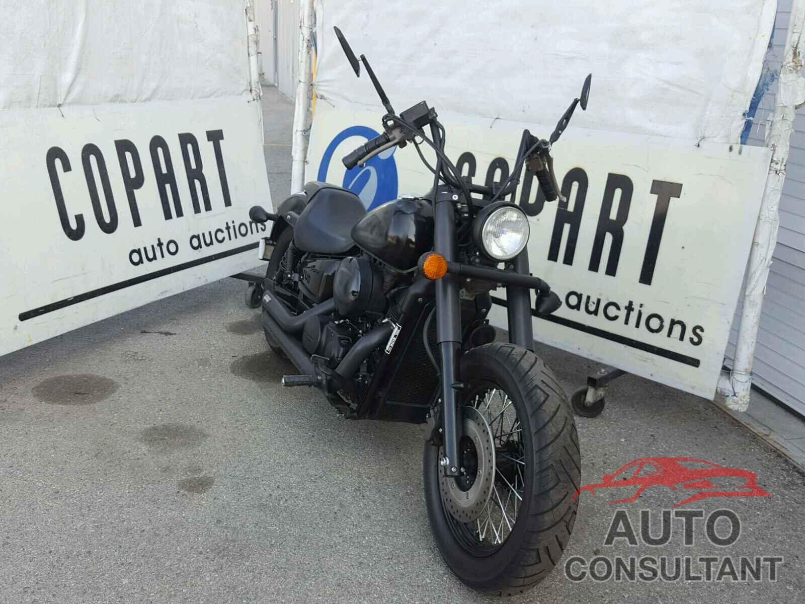 HONDA VT CYCLE 2015 - JH2RC5387FK500318