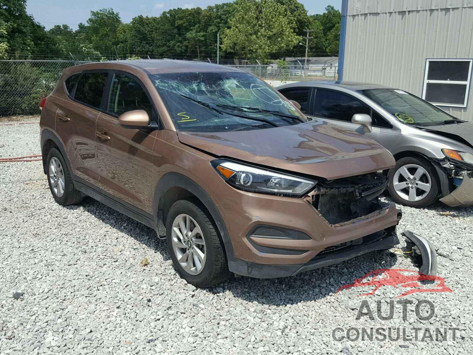 HYUNDAI TUCSON 2016 - KM8J23A43GU146392