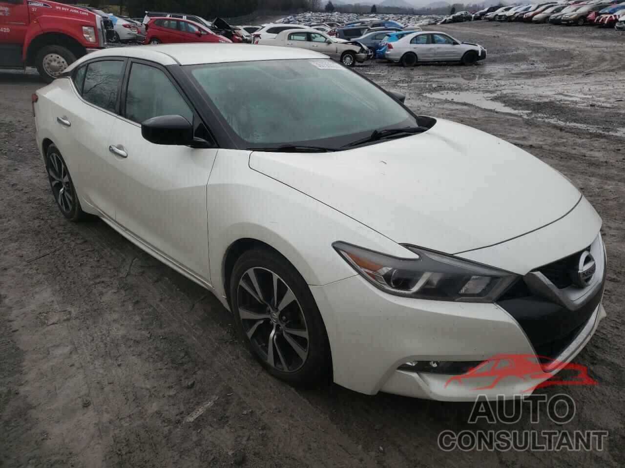 NISSAN MAXIMA 2017 - 1N4AA6AP5HC437640