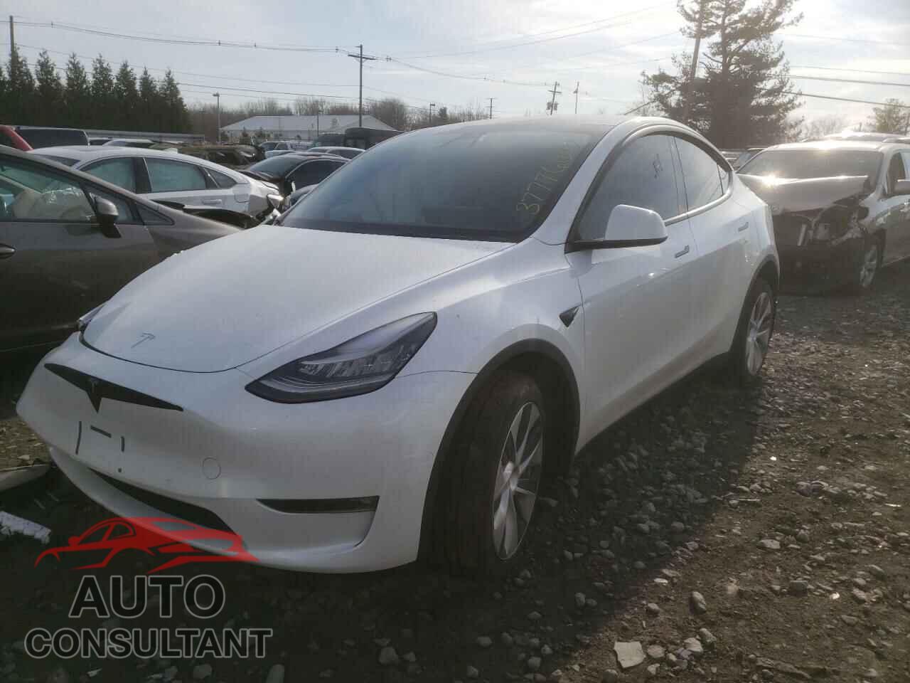 TESLA MODEL Y 2021 - 5YJYGDEE0MF288071