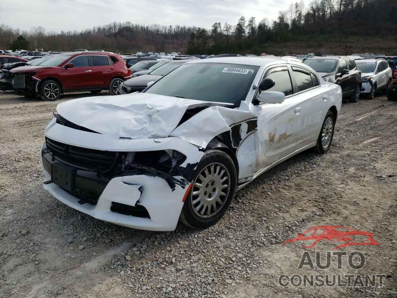 DODGE CHARGER 2019 - 2C3CDXKT1KH565863
