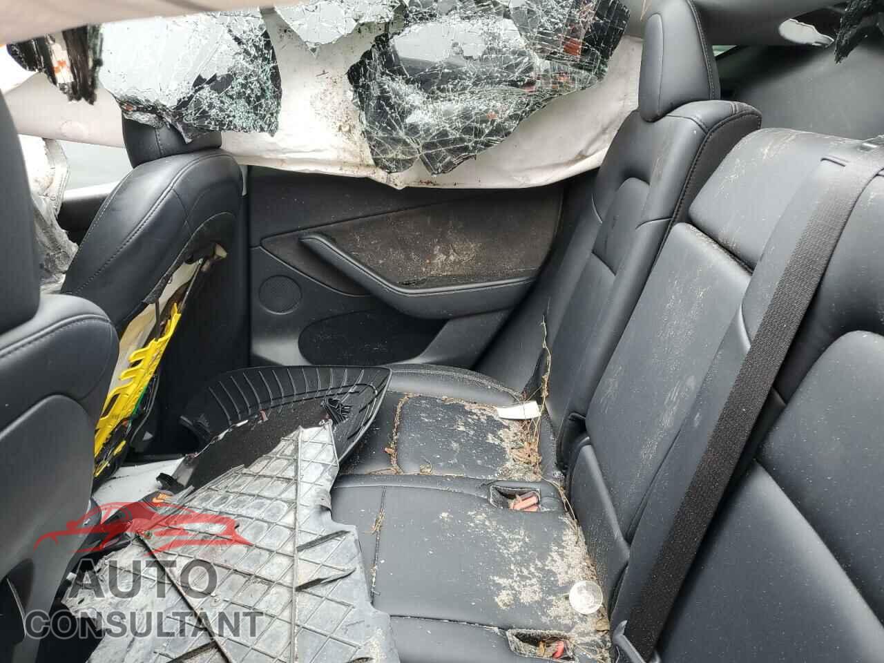 TESLA MODEL Y 2021 - 5YJYGDEE3MF068889