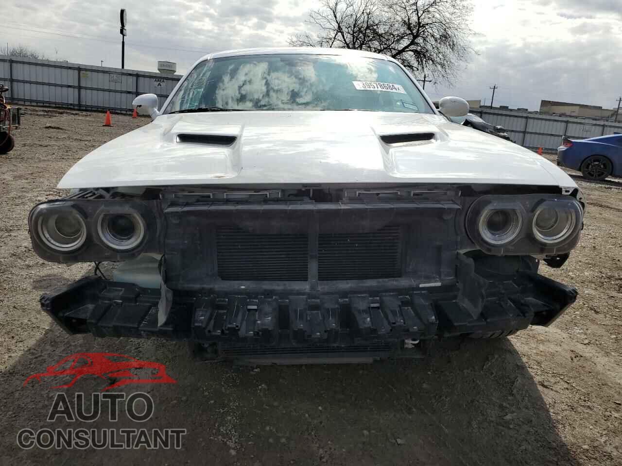 DODGE CHALLENGER 2019 - 2C3CDZAG3KH731767