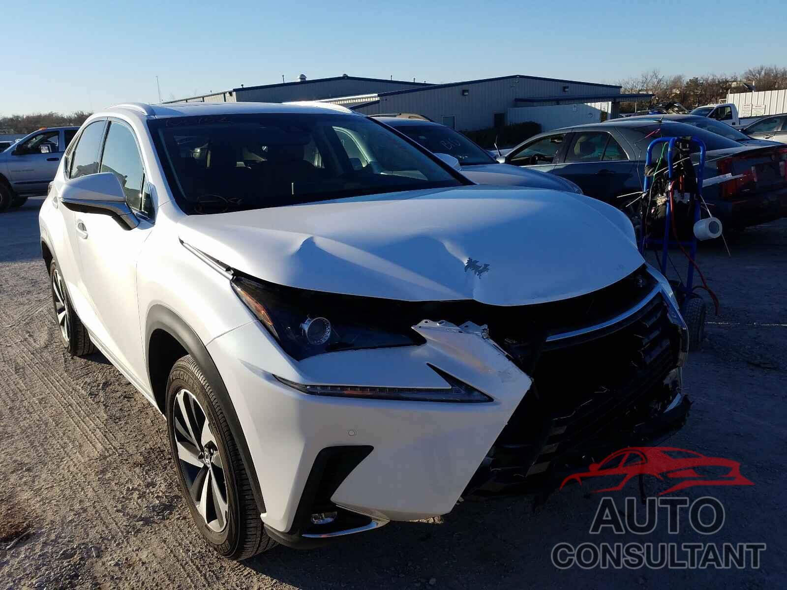 LEXUS NX 2019 - JTJBJRBZ0K2106152