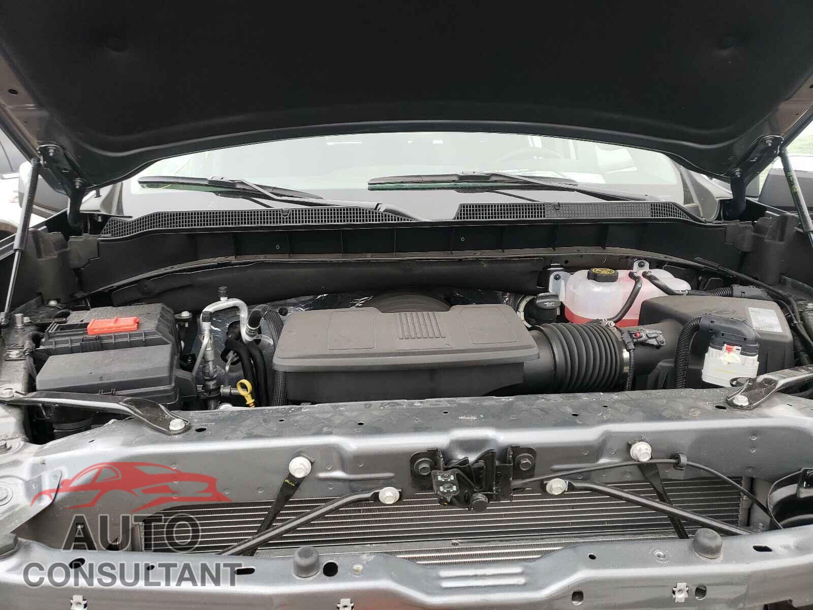 CHEVROLET SILVERADO 2020 - 1GCRYDED9LZ369202