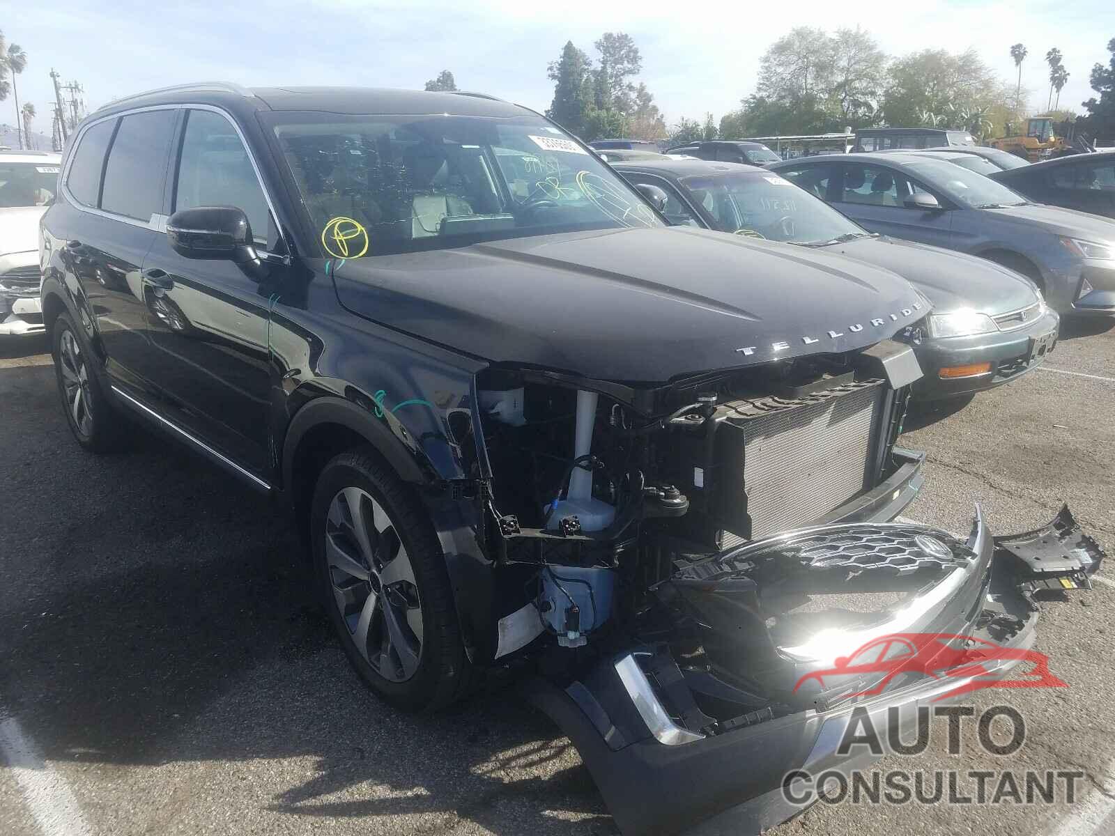 KIA TELLURIDE 2020 - 5XYP3DHC5LG078686