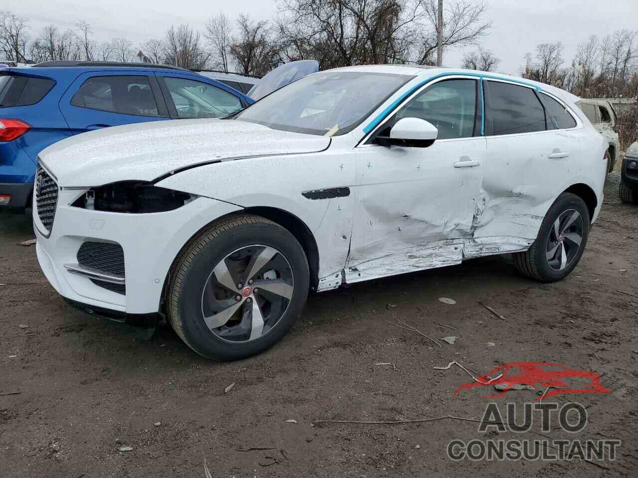 JAGUAR F-PACE 2021 - SADCJ2EX2MA686638