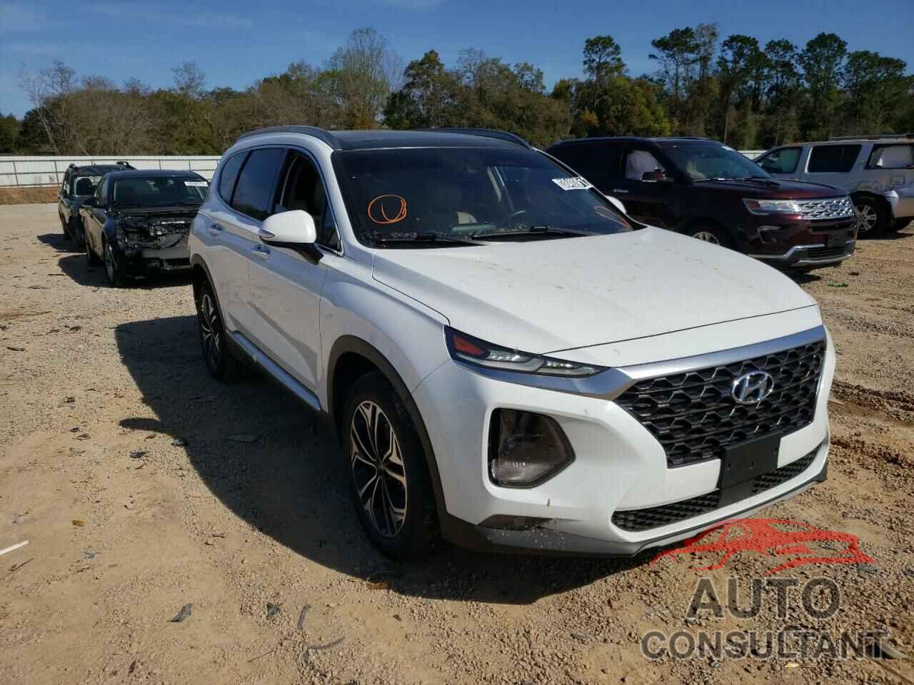 HYUNDAI SANTA FE 2019 - 5NMS5CAA7KH117757