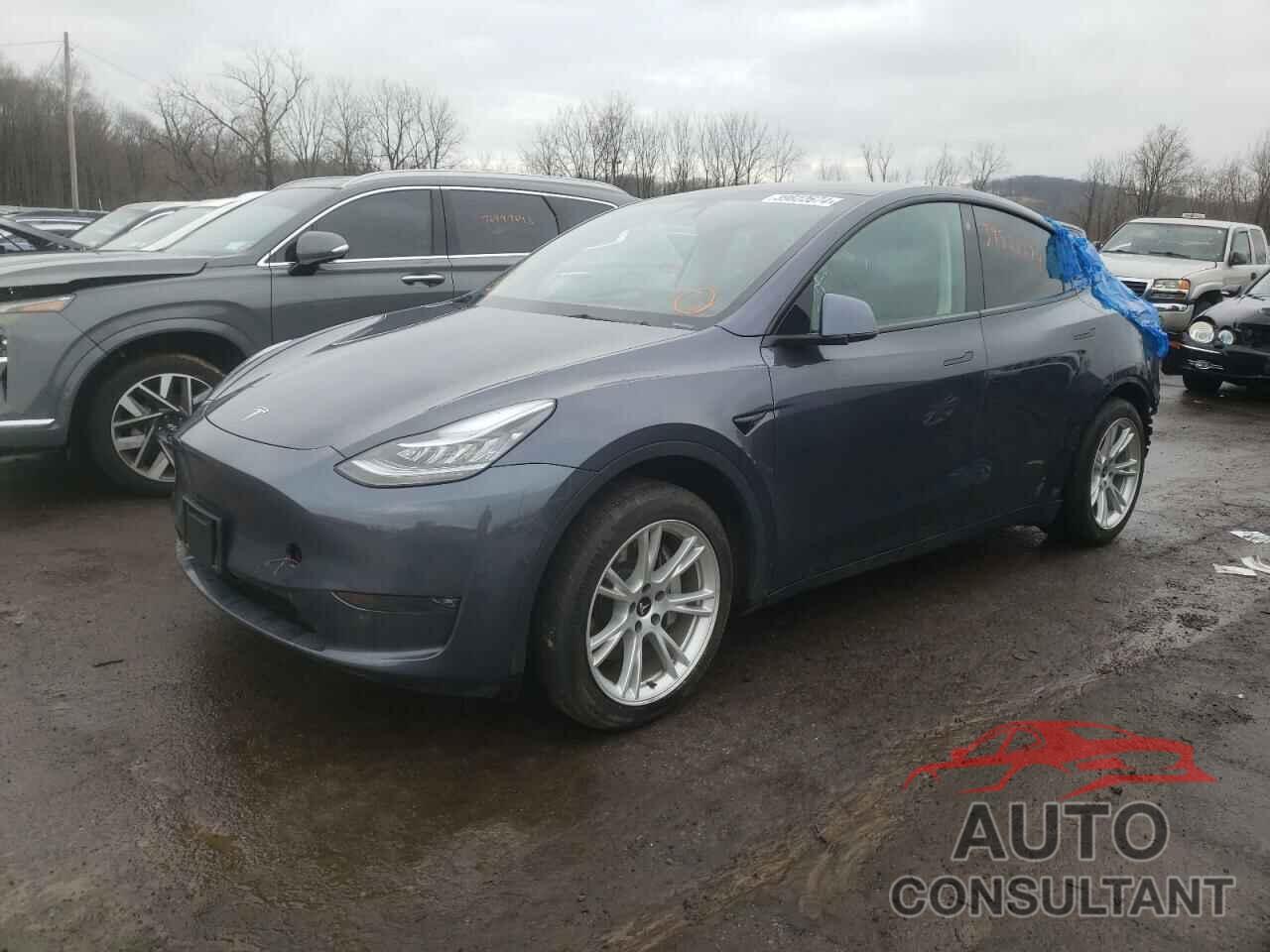 TESLA MODEL Y 2021 - 5YJYGDEEXMF288286