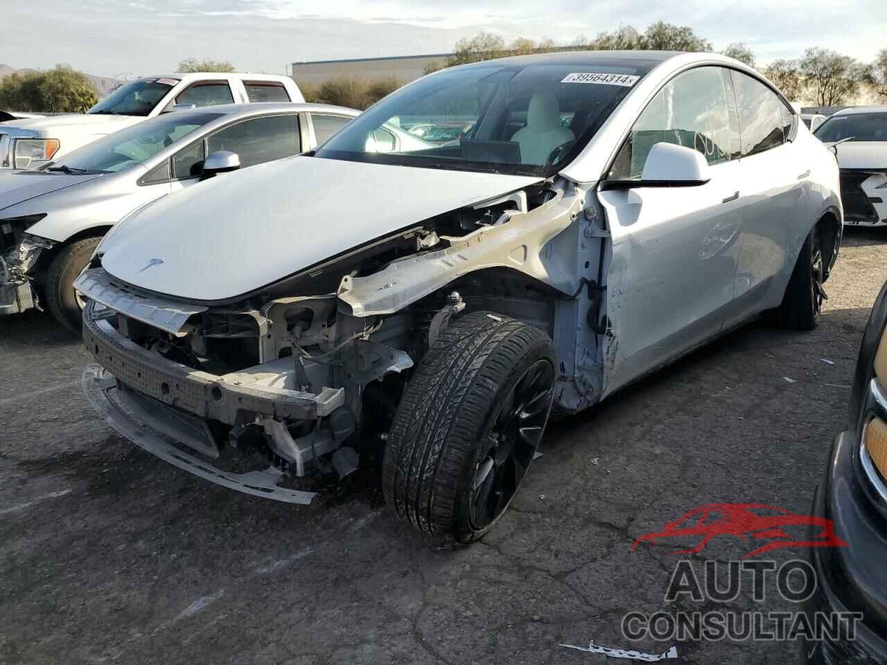 TESLA MODEL Y 2021 - 5YJYGDEE1MF144528