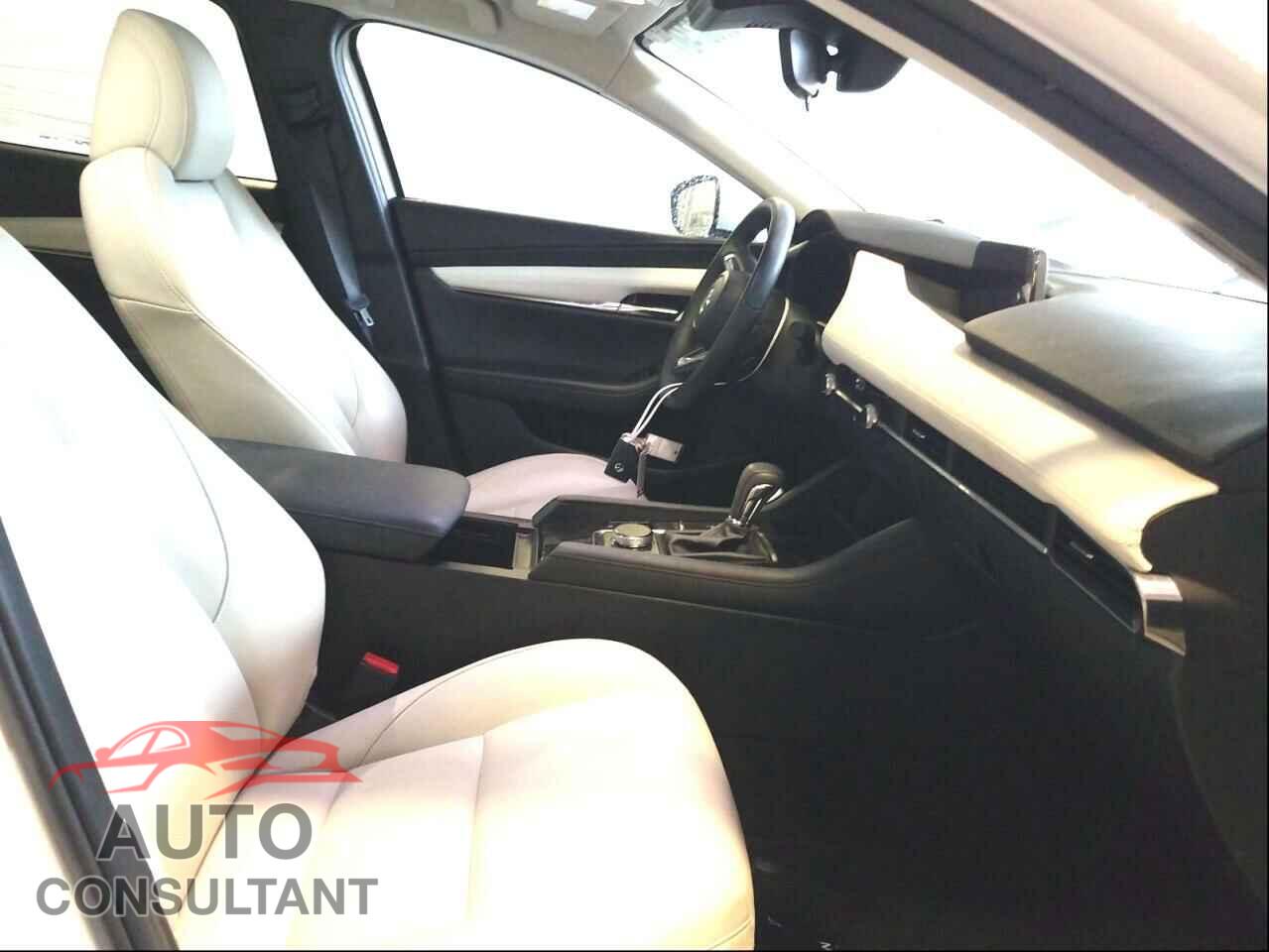 MAZDA 3 2019 - JM1BPACM5K1102190