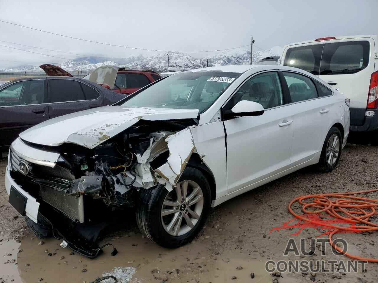 HYUNDAI SONATA 2017 - 5NPE24AF0HH490285