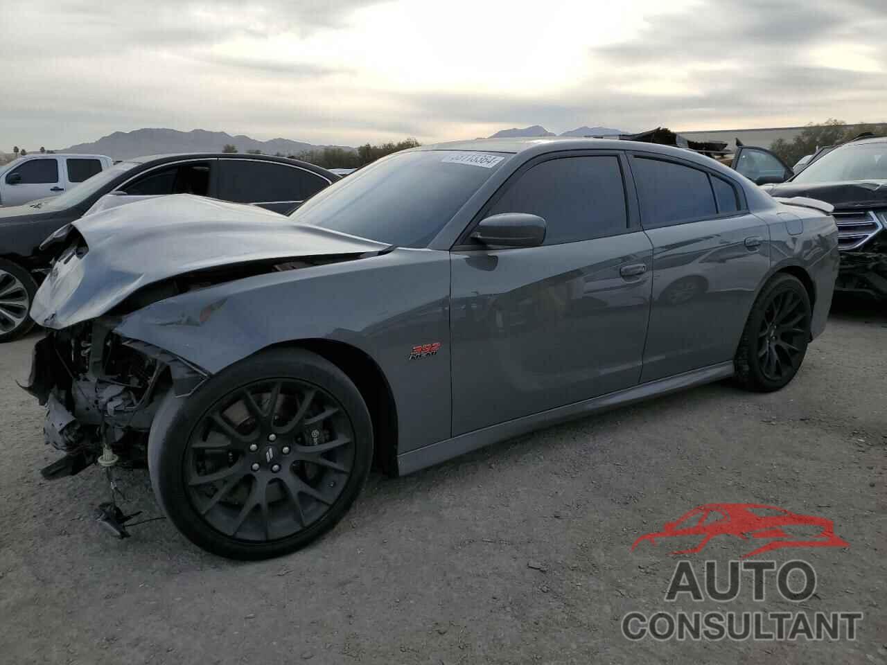 DODGE CHARGER 2018 - 2C3CDXGJ8JH314943