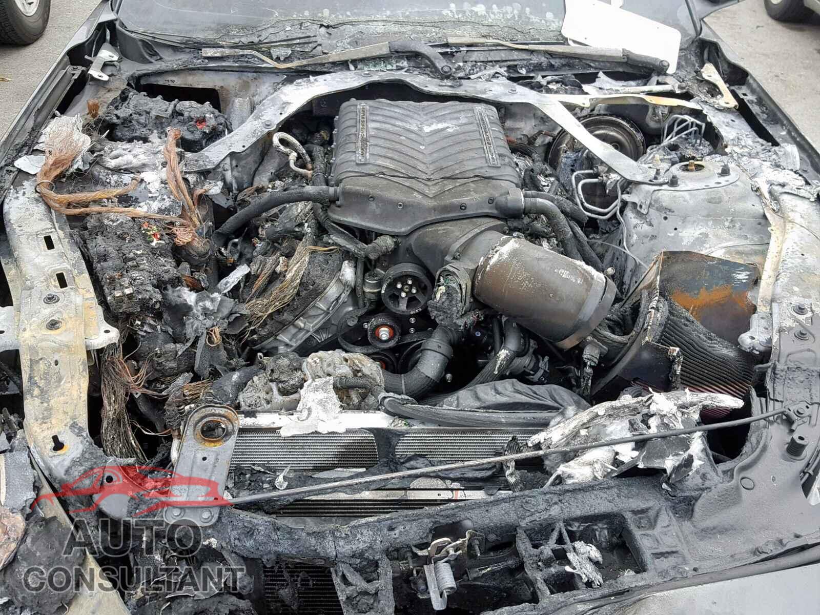 FORD MUSTANG 2019 - 1FA6P8CF3K5154203