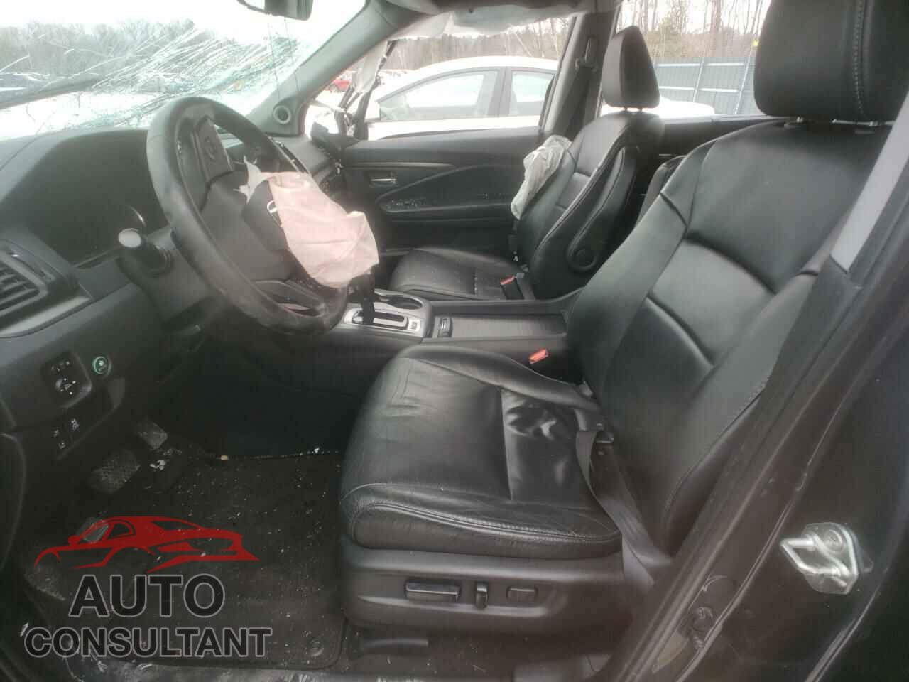 HONDA PILOT 2019 - 5FNYF6H45KB046004