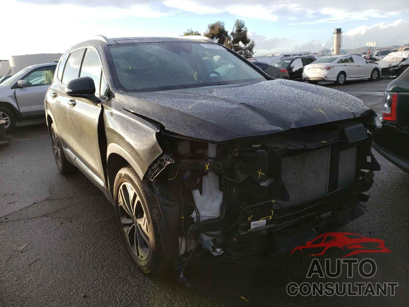 HYUNDAI SANTA FE 2019 - 5NMS53AA7KH023524