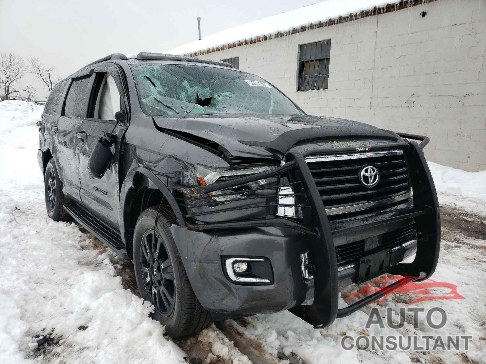 TOYOTA SEQUOIA 2019 - 5TDBY5G12KS169093