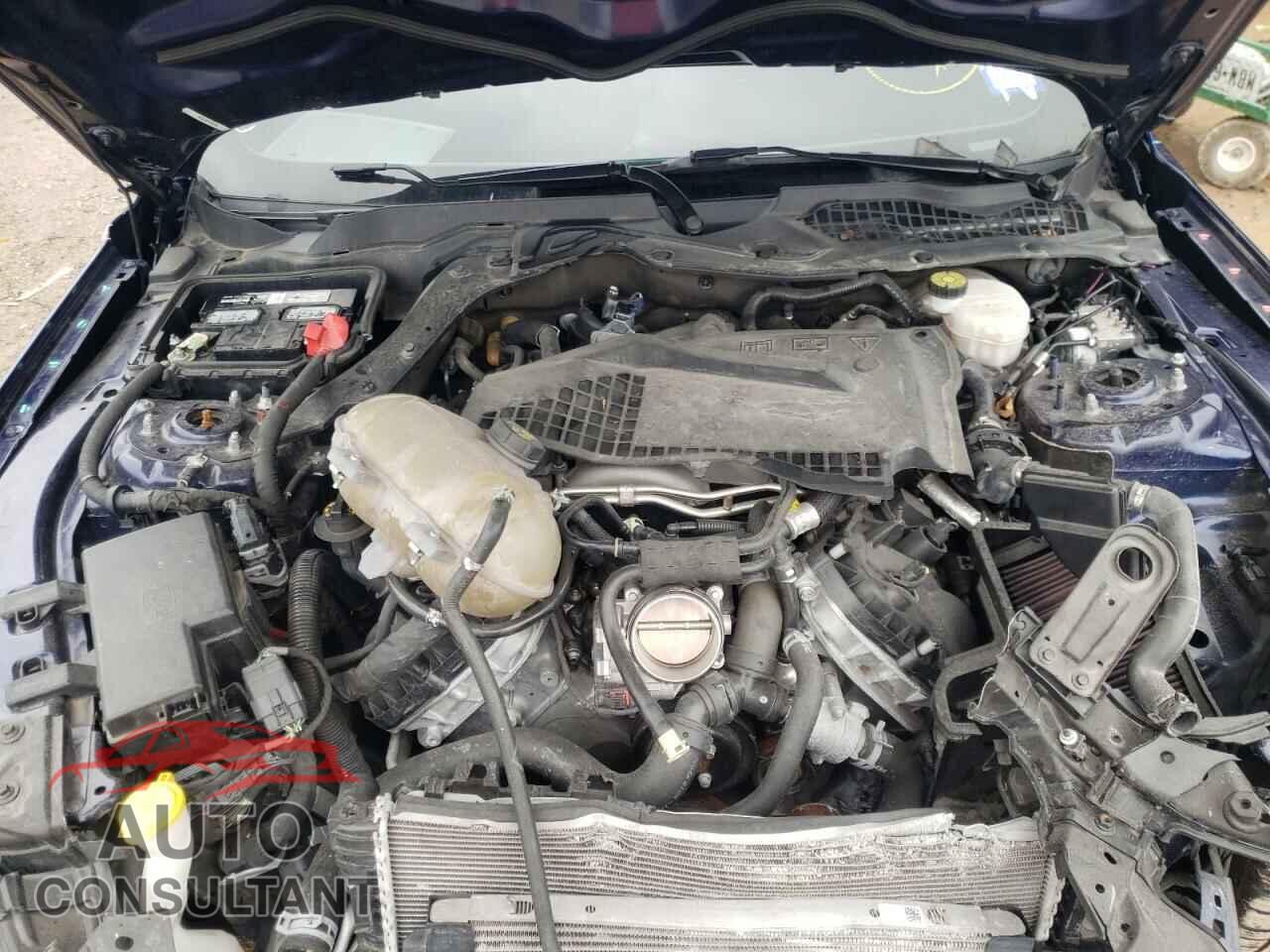 FORD MUSTANG 2019 - 1FA6P8CF0K5201624